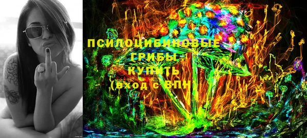 стафф Алексин