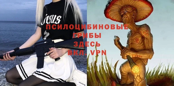 стафф Алексин